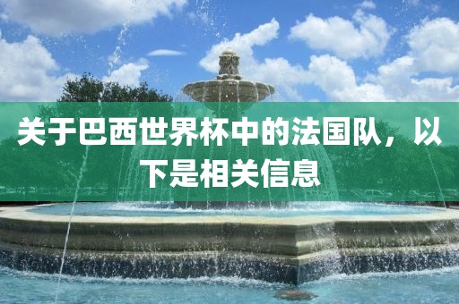 关于巴西世界杯中的法国队，以下是相关信息