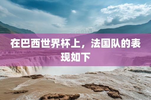 在巴西世界杯上，法国队的表现如下