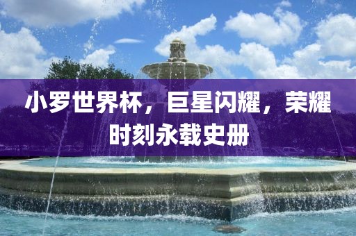 小罗世界杯，巨星闪耀，荣耀时刻永载史册