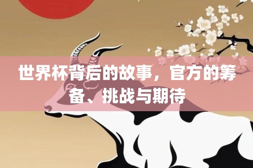 世界杯背后的故事，官方的筹备、挑战与期待