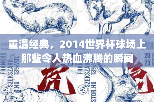 重温经典，2014世界杯球场上那些令人热血沸腾的瞬间