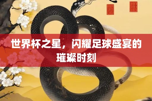 世界杯之星，闪耀足球盛宴的璀璨时刻
