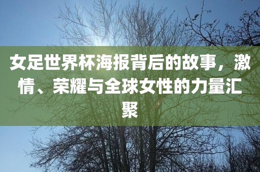 女足世界杯海报背后的故事，激情、荣耀与全球女性的力量汇聚