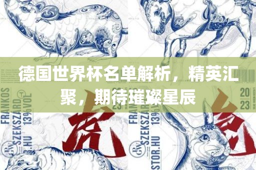 德国世界杯名单解析，精英汇聚，期待璀璨星辰
