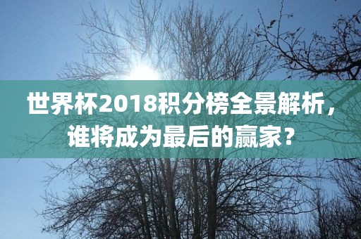 世界杯2018积分榜全景解析，谁将成为最后的赢家？
