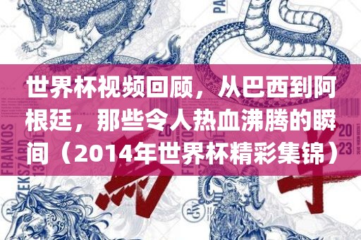 世界杯视频回顾，从巴西到阿根廷，那些令人热血沸腾的瞬间（2014年世界杯精彩集锦）