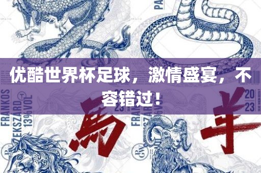 优酷世界杯足球，激情盛宴，不容错过！
