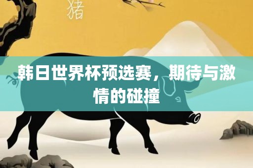 韩日世界杯预选赛，期待与激情的碰撞