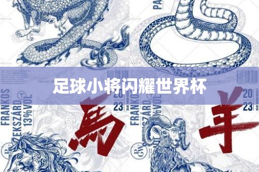 足球小将闪耀世界杯