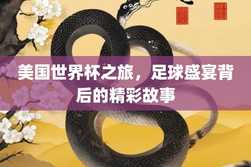 美国世界杯之旅，足球盛宴背后的精彩故事