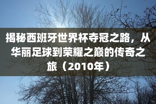 揭秘西班牙世界杯夺冠之路，从华丽足球到荣耀之巅的传奇之旅（2010年）