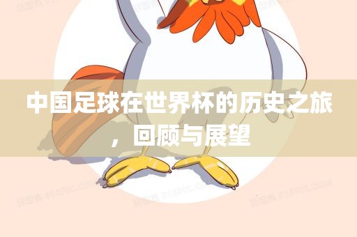 中国足球在世界杯的历史之旅，回顾与展望