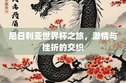 尼日利亚世界杯之旅，激情与挫折的交织