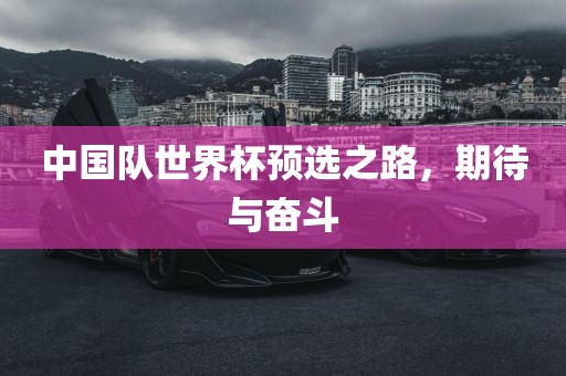 中国队世界杯预选之路，期待与奋斗