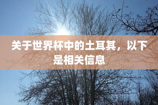 关于世界杯中的土耳其，以下是相关信息