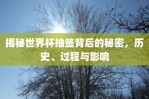 揭秘世界杯抽签背后的秘密，历史、过程与影响