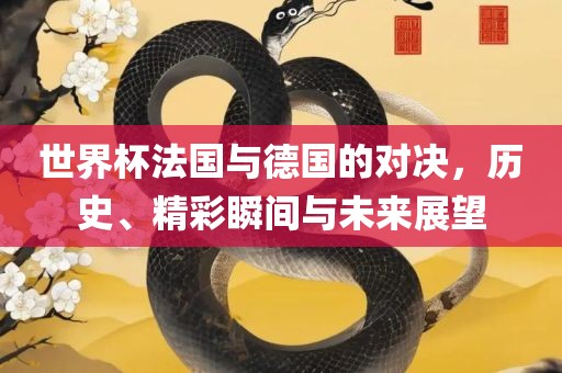世界杯法国与德国的对决，历史、精彩瞬间与未来展望