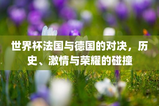世界杯法国与德国的对决，历史、激情与荣耀的碰撞