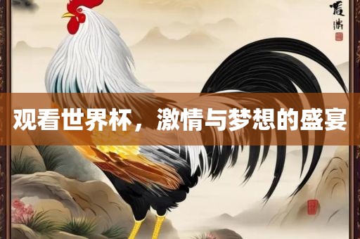 观看世界杯，激情与梦想的盛宴