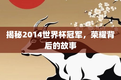 揭秘2014世界杯冠军，荣耀背后的故事