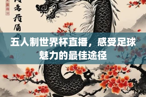 五人制世界杯直播，感受足球魅力的最佳途径