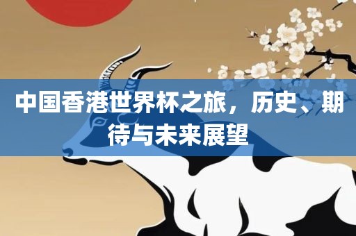 中国香港世界杯之旅，历史、期待与未来展望
