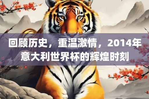 回顾历史，重温激情，2014年意大利世界杯的辉煌时刻