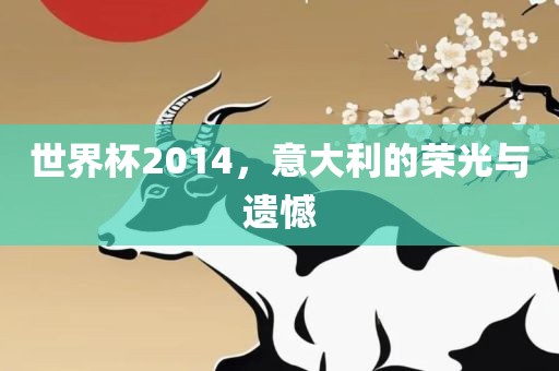 世界杯2014，意大利的荣光与遗憾