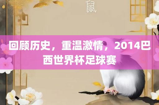 回顾历史，重温激情，2014巴西世界杯足球赛
