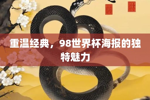 重温经典，98世界杯海报的独特魅力