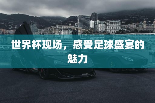 世界杯现场，感受足球盛宴的魅力