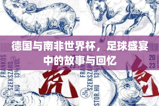 德国与南非世界杯，足球盛宴中的故事与回忆