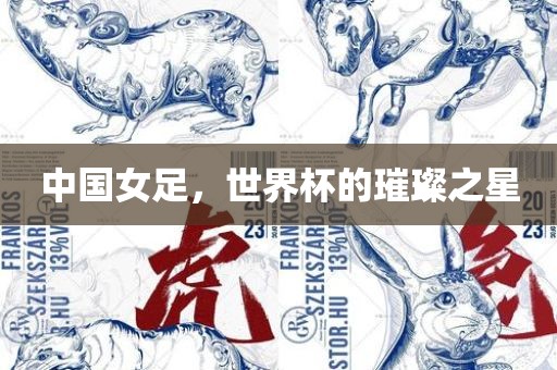 中国女足，世界杯的璀璨之星