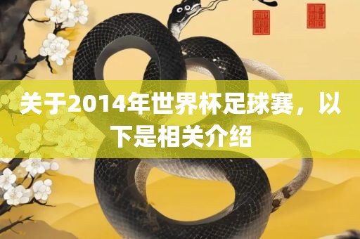 关于2014年世界杯足球赛，以下是相关介绍