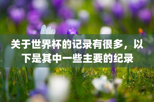 关于世界杯的记录有很多，以下是其中一些主要的纪录