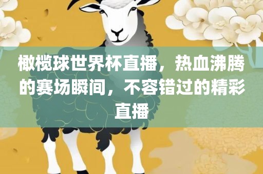 橄榄球世界杯直播，热血沸腾的赛场瞬间，不容错过的精彩直播