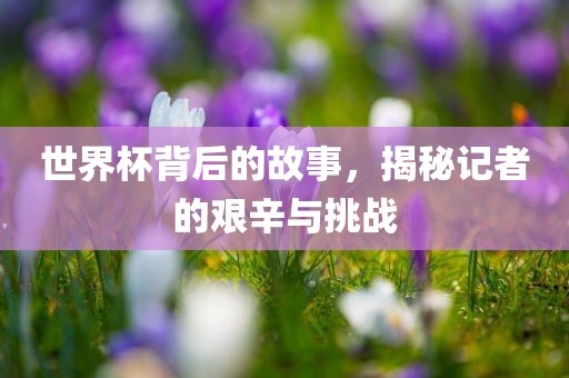 世界杯背后的故事，揭秘记者的艰辛与挑战