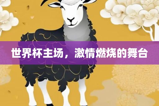 世界杯主场，激情燃烧的舞台