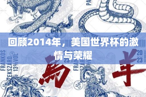 回顾2014年，美国世界杯的激情与荣耀