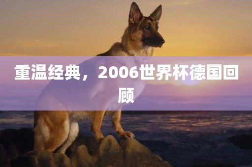 重温经典，2006世界杯德国回顾