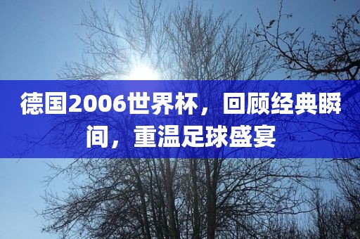 德国2006世界杯，回顾经典瞬间，重温足球盛宴