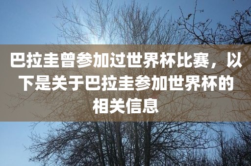 巴拉圭曾参加过世界杯比赛，以下是关于巴拉圭参加世界杯的相关信息