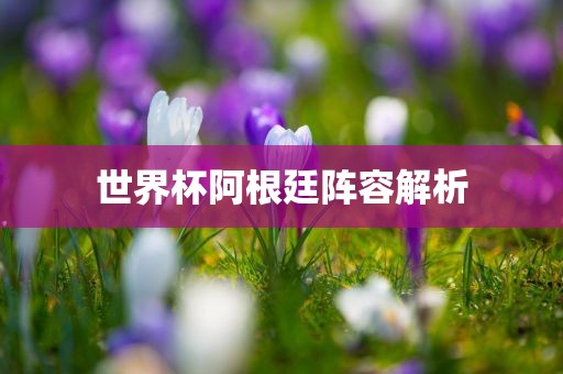 世界杯阿根廷阵容解析