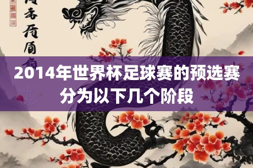 2014年世界杯足球赛的预选赛分为以下几个阶段