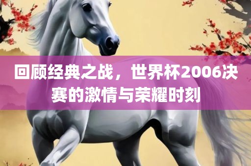 回顾经典之战，世界杯2006决赛的激情与荣耀时刻