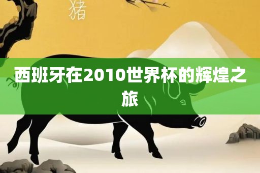 西班牙在2010世界杯的辉煌之旅