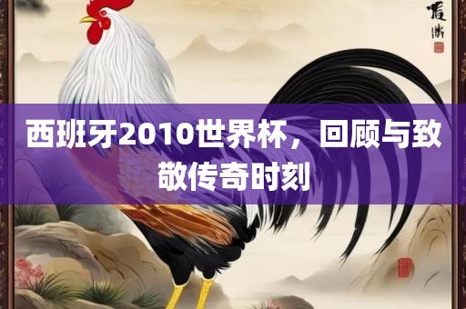 西班牙2010世界杯，回顾与致敬传奇时刻