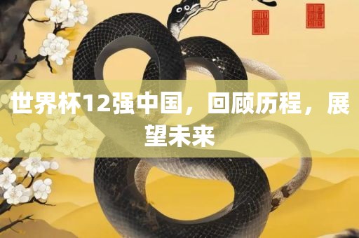 世界杯12强中国，回顾历程，展望未来