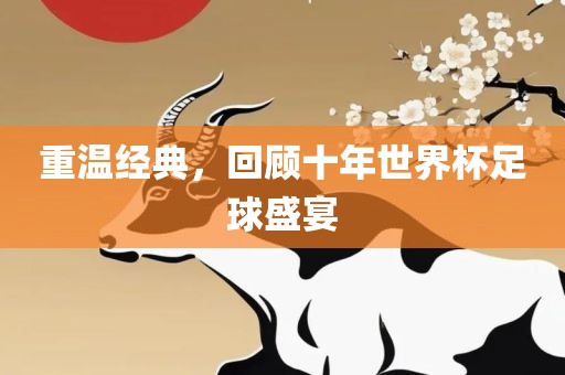 重温经典，回顾十年世界杯足球盛宴