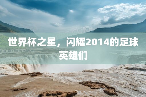 世界杯之星，闪耀2014的足球英雄们